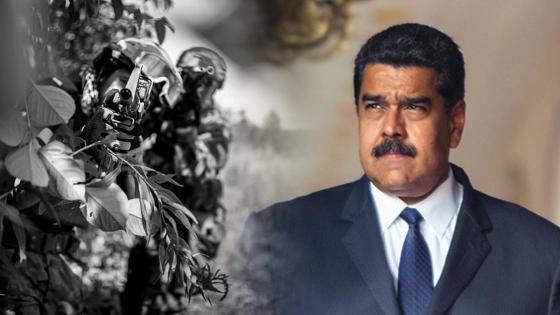 Nicolás Maduro