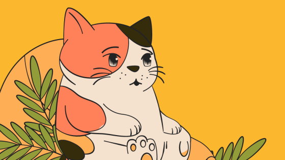 Gatos Gatos