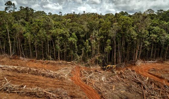 Colombia no ahorra y agota cada vez más rápido sus recursos naturales