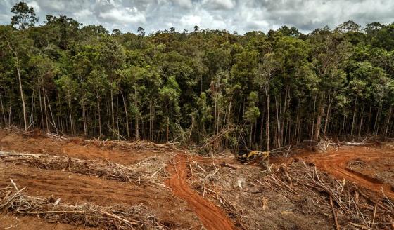 Colombia no ahorra y agota cada vez más rápido sus recursos naturales Colombia no ahorra y agota cada vez más rápido sus recursos naturales
