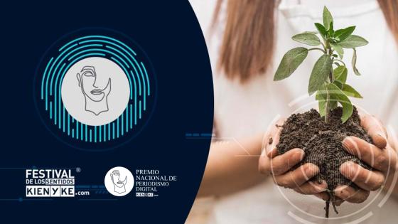 pnpd ambiental pnpd ambiental