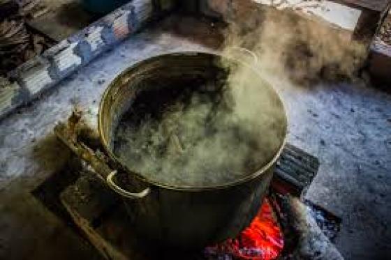 La ayahuasca podría ayudar a crear nuevas células cerebrales, pero ¿qué tan viable sería recibir ese tratamiento a largo plazo? La ayahuasca podría ayudar a crear nuevas células cerebrales, pero ¿qué tan viable sería recibir ese tratamiento a largo plazo?