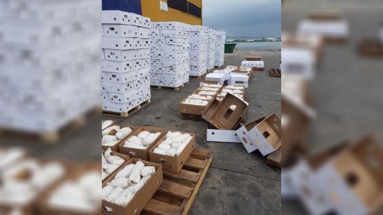 Ecombatientes cultivo de ñame Ecombatientes cultivo de ñame