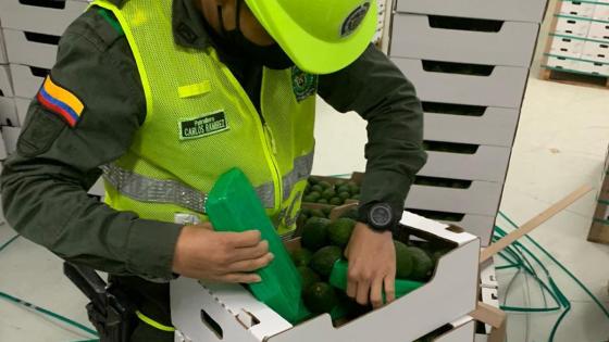 Policía Nacional frustró envío de 1.572 kilos de droga a Bélgica Policía Nacional frustró envío de 1.572 kilos de droga a Bélgica