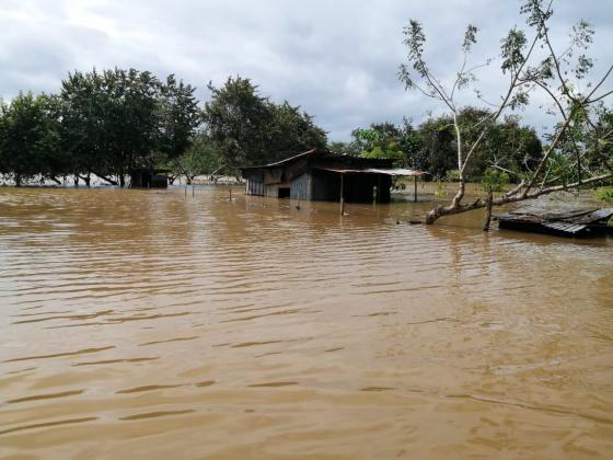 Confirman 5 muertos por lluvias asociadas a tormenta Eta en Panamá Confirman 5 muertos por lluvias asociadas a tormenta Eta en Panamá