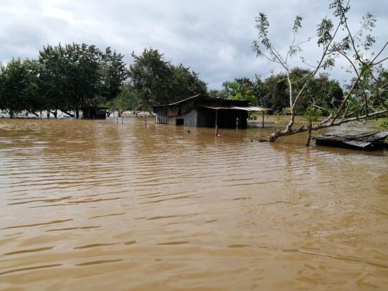 Confirman 5 muertos por lluvias asociadas a tormenta Eta en Panamá