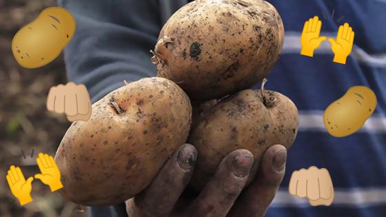 Unidos por la 'papatón': Colombia le tiende la mano a sus campesinos