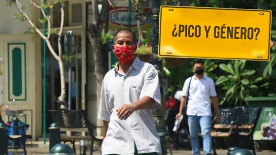 Pico y genero día sin IVA Santa Marta