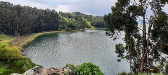No se detectó exceso de plomo en Lago de Tota: Corpoboyacá