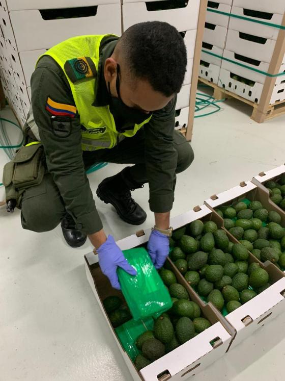 Policía Nacional frustró envío de 1.572 kilos de droga a Bélgica