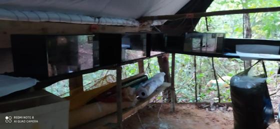 Policía Nacional destruyó laboratorio Policía Nacional destruyó laboratorio
