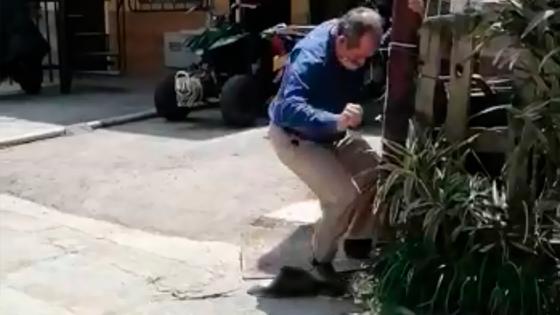 zarigüeya murió tras ataque en La Estrella, Antioquia zarigüeya murió tras ataque en La Estrella, Antioquia