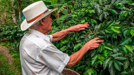 Congreso aprobó alivios financieros para campesinos colombianos