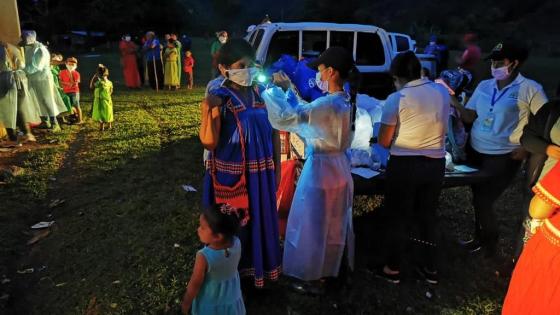 Covid-19 en Panamá: 85.73 % de los casos se han recuperado Covid-19 en Panamá: 85.73 % de los casos se han recuperado