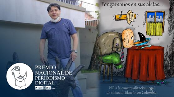 El clamor por los tiburones fue premiado en el PNPD Kienyke.com 2020 El clamor por los tiburones fue premiado en el PNPD Kienyke.com 2020