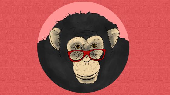 Kienyke.com habló con el científico Pieter Roelfsema, del Instituto de los Países Bajos por la Neurociencia, sobre el desarrollo científico que adelantan para devolver la visión funcional a personas enceguecidas desde los cinco años o más. Kienyke.com habló con el científico Pieter Roelfsema, del Instituto de los Países Bajos por la Neurociencia, sobre el desarrollo científico que adelantan para devolver la visión funcional a personas enceguecidas desde los cinco años o más.