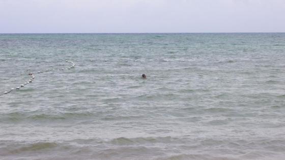 Colombiana desaparecida por dos años aparece flotando viva en el Caribe Colombiana desaparecida por dos años aparece flotando viva en el Caribe