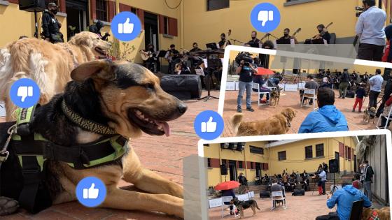 Concierto para perros en Bogotá dividió las opiniones