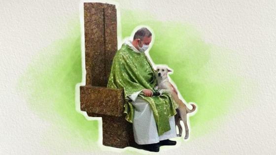 perros perros