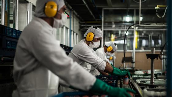 Economistas sugieren reducir salario y no pagar pensión a trabajadores Economistas sugieren reducir salario y no pagar pensión a trabajadores