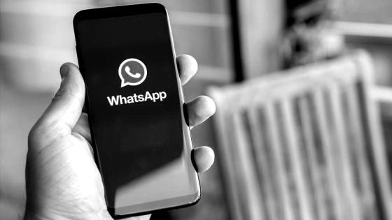 alt whatsapp alt whatsapp