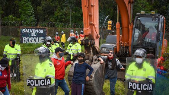 Manifestaciones Bosque Bavaria fauna