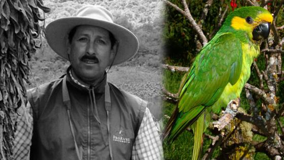 Asesinato de Gonzalo Cardona: el loro orejiamarillo se quedó sin su guardián Asesinato de Gonzalo Cardona: el loro orejiamarillo se quedó sin su guardián