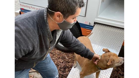 Habitante salva a perros de incendio Habitante salva a perros de incendio