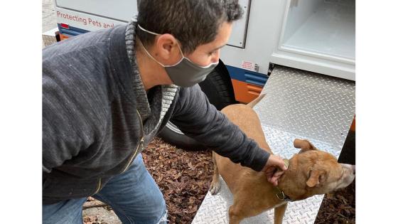 Habitante salva a perros de incendio