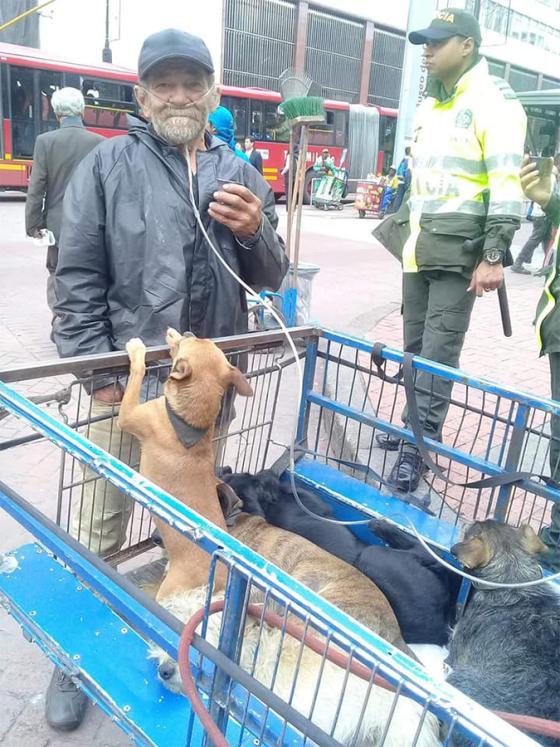 Don Jesús y sus perros 