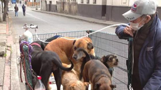 Historia Don Jesús y sus perros Historia Don Jesús y sus perros