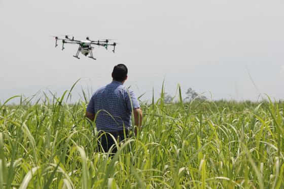 Incautan marihuana que pretendía entrar a La Joya en drones Incautan marihuana que pretendía entrar a La Joya en drones
