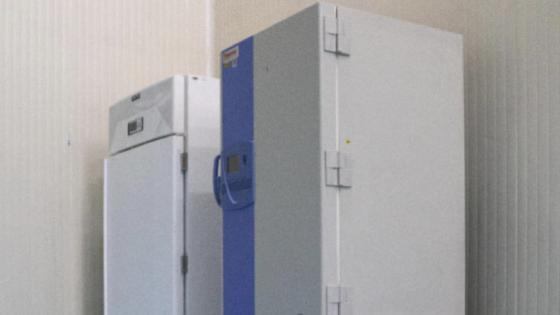 Gobierno avanza en adquisición de 44 ultracongeladores para covid-19