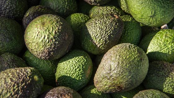 Aguacate Hass Colombiano Aguacate Hass Colombiano