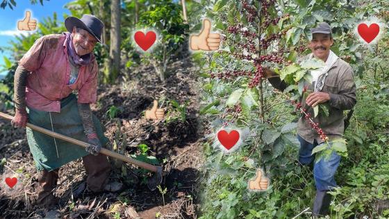 'Soy campesino', el perfil en redes sociales que ayuda al agro colombiano 'Soy campesino', el perfil en redes sociales que ayuda al agro colombiano
