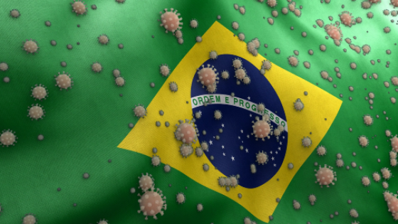 cepa brasileña