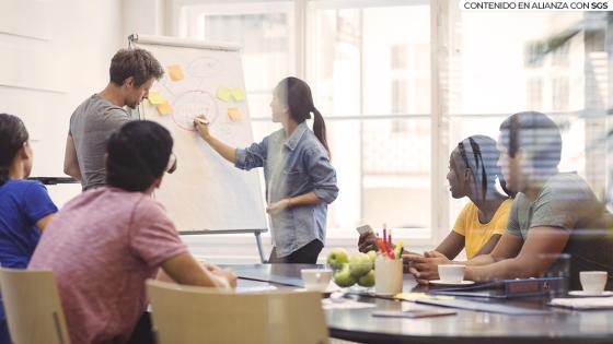 Para que una empresa obtenga éxito en el mercado, necesita profesionales capacitados y competitivos que contribuyan al crecimiento de la compañía. las organizaciones pueden aumentar su productividad gracias a la gestión y capacitación del capital humano e intelectual.