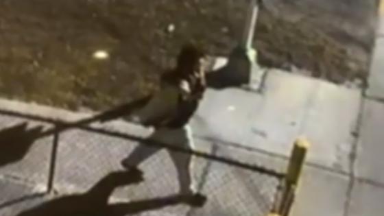 Roban carro con vacunas Roban carro con vacunas