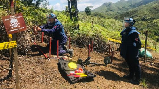 Equipo Ejército desminado humanitario Sur del país Equipo desminado humanitario sur del país