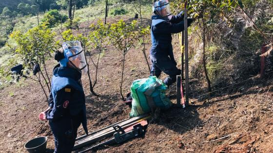 Desminado humanitario Colombia 