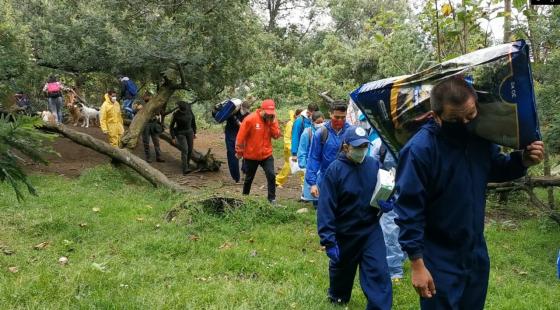 El drama de la manada de Acacio El drama de la manada de Acacio