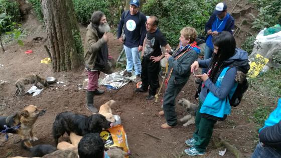 La manada de perros de Acacio