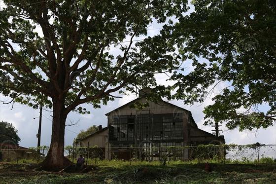 Imágenes de las ruinas del Hospital de Fordlandia, diseñado por el arquitecto Albert Kahn.