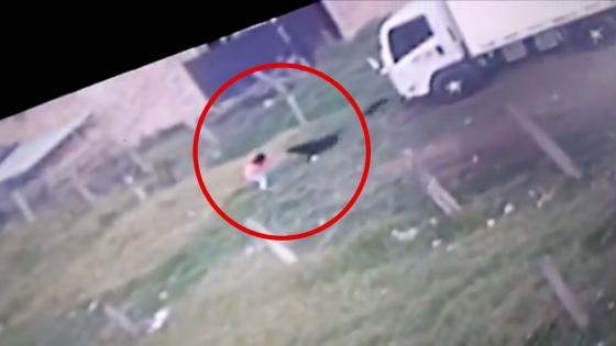 Niña atacada por perros Ubaté Niña atacada por perros Ubaté