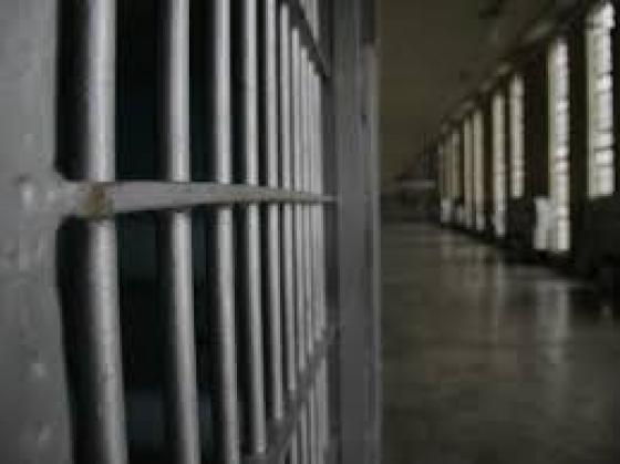 La multinacional del crimen La multinacional del crimen