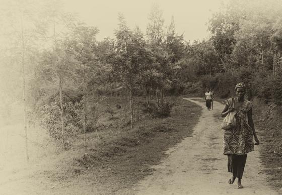 Francia permitió que escaparan los autores del genocidio de Ruanda Francia permitió que escaparan los autores del genocidio de Ruanda
