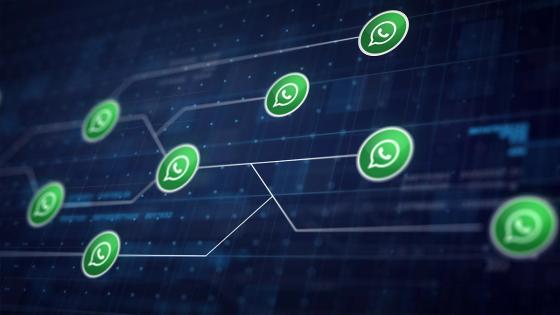 alt whatsapp alt whatsapp