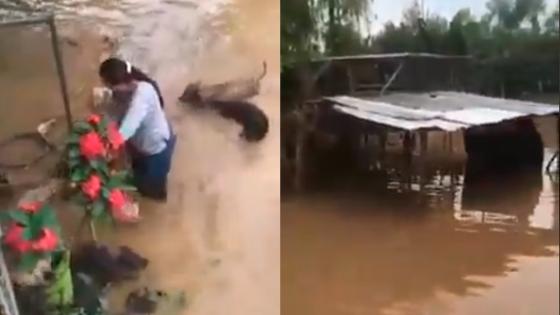 Inundaciones en el Valle afectaron albergue de animales