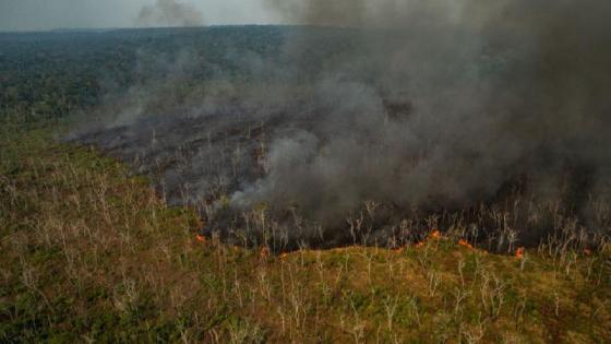 El mayor humedal tropical del mundo se convirtió en un infierno El mayor humedal tropical del mundo se convirtió en un infierno