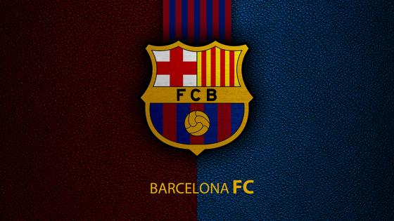Camiseta FC Barcelona Camiseta FC Barcelona